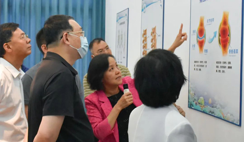 福建省人大常委会调研组实地考察厦门BCK体育科技_政府来访_BCK体育